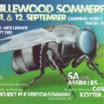 Hillewood Sommerfest 2015 Flyer